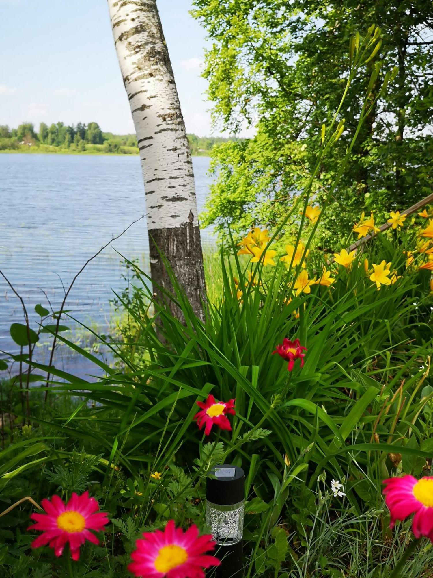 Dvinumajas Балві